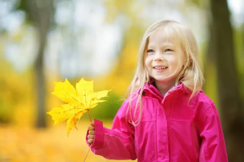 атопичен дерматит при децата през есента