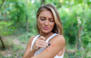 Ужилване от пчела